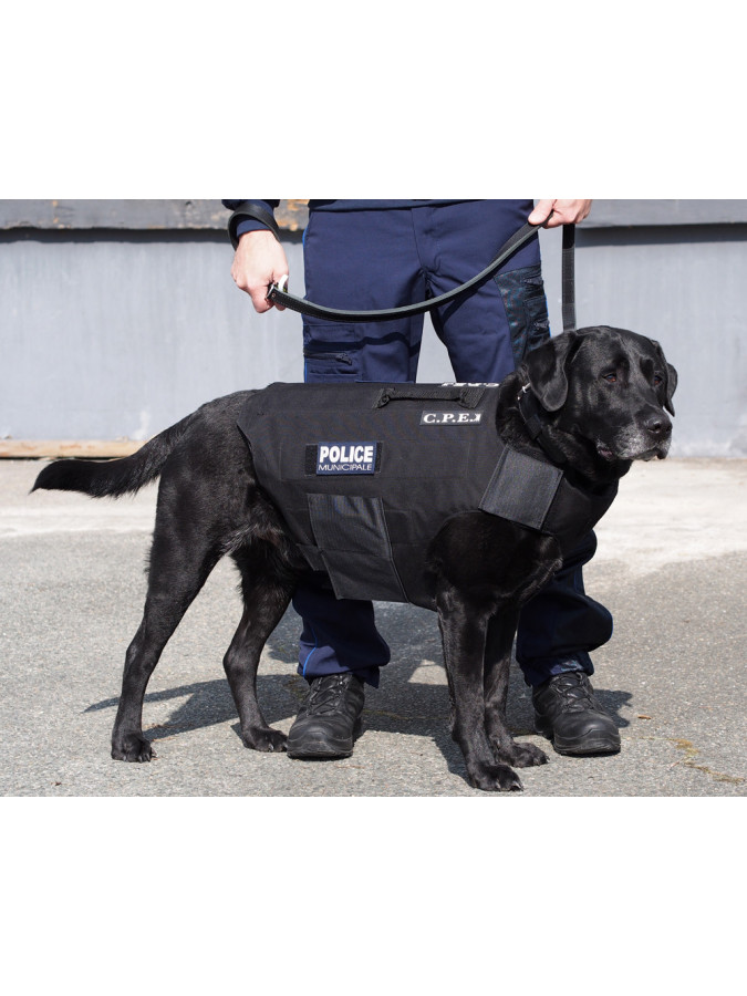 harnais police pour chien