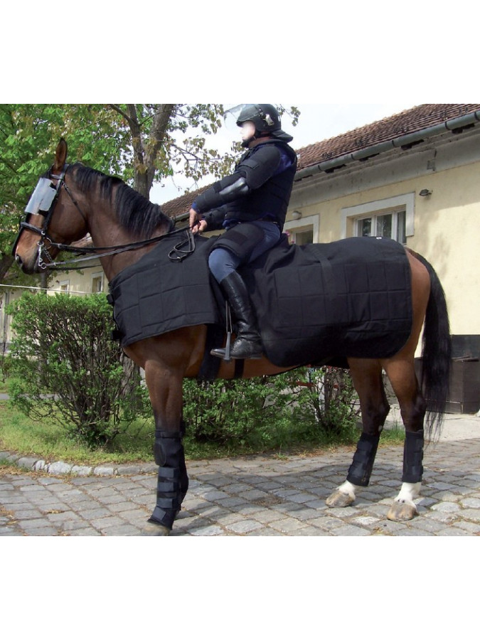Equipement cheval, pour un maximum de protection
